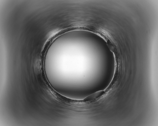 X0000087361164200704271432