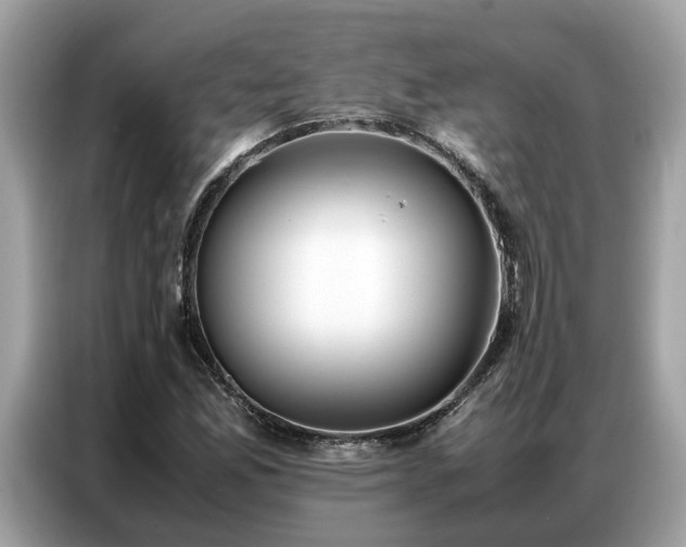 X0000087361165200704271432