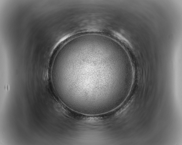 X0000087361166200704271432