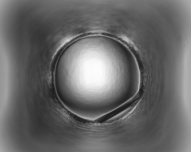 X0000087361167200704271432
