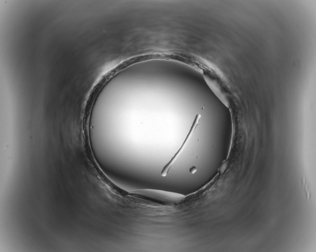 X0000087361168200704271432