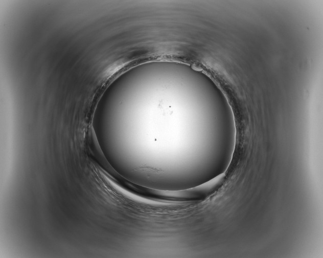 X0000087361169200704271432