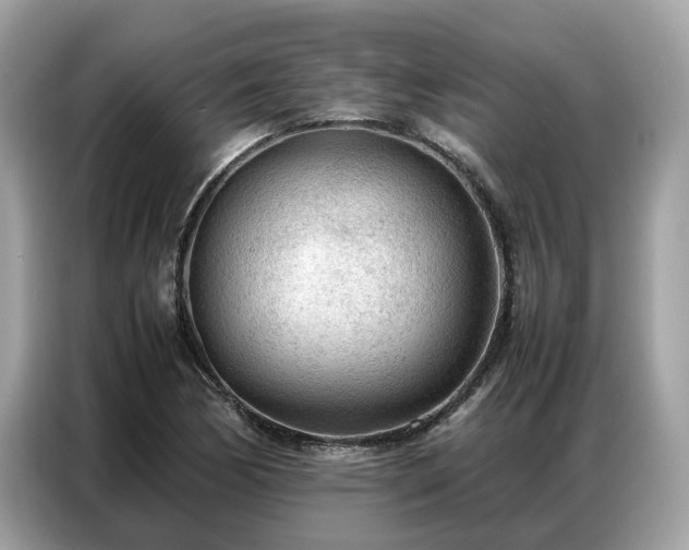 X0000087361170200704271432