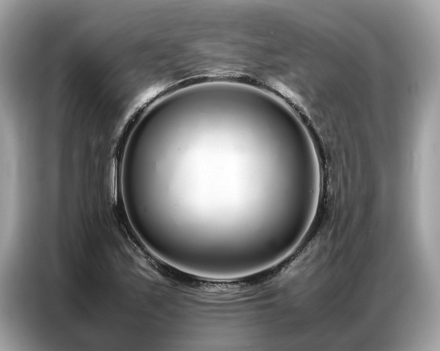 X0000087361171200704271432