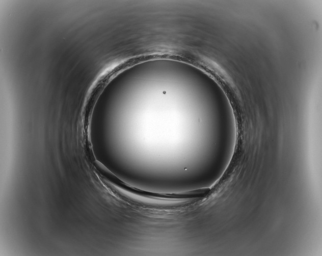 X0000087361172200704271432
