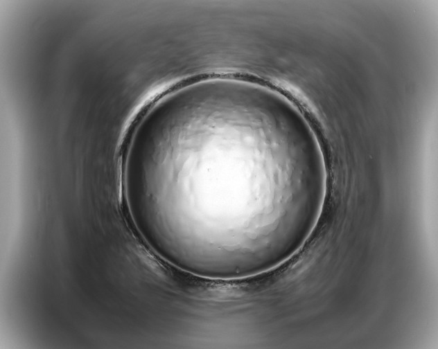 X0000087361175200704271432
