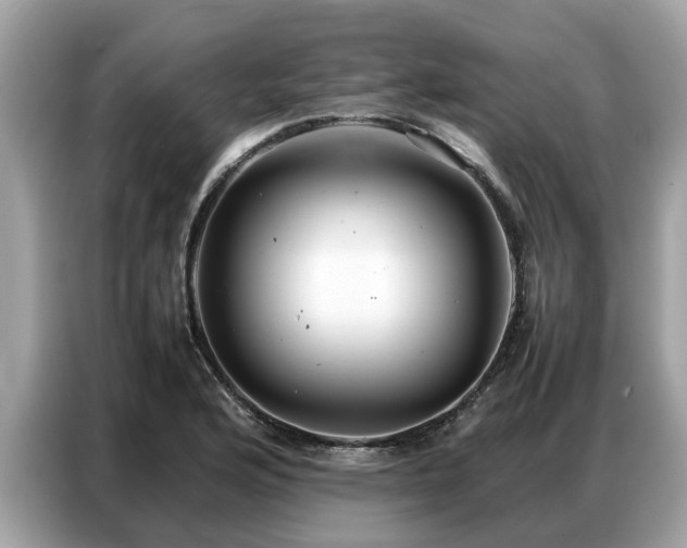 X0000087361176200704271432