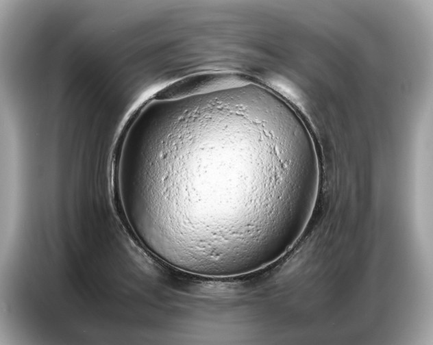 X0000087361179200704271432