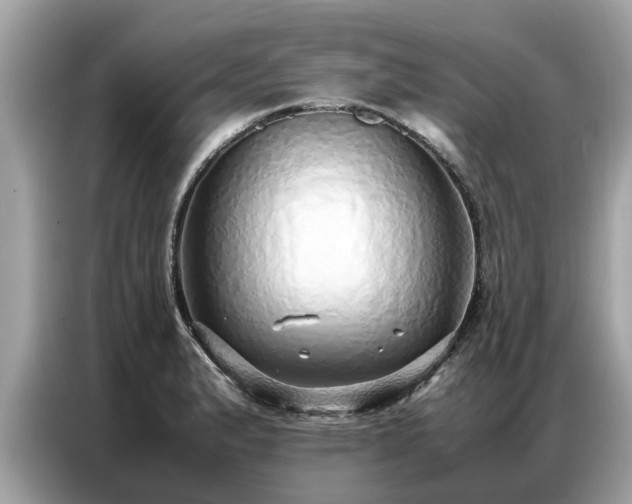 X0000087361183200704271432