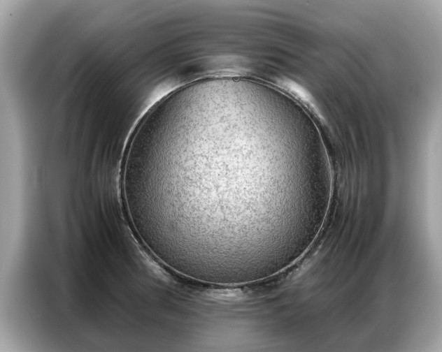 X0000087361186200704271432