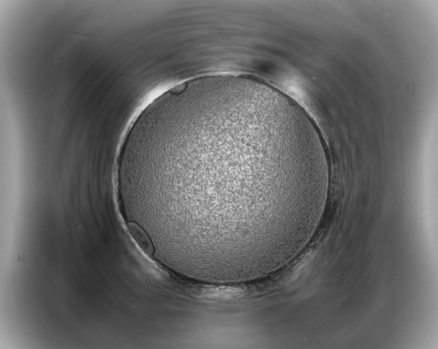 X0000087361187200704271432
