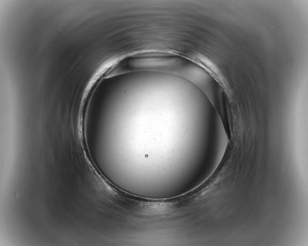 X0000087361188200704271432