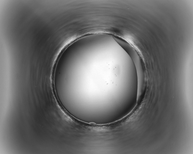 X0000087361189200704271432