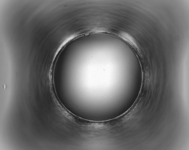 X0000087361190200704271432