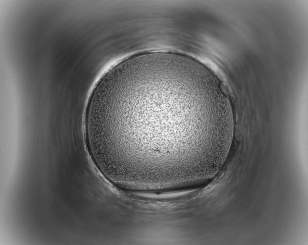 X0000087361191200704271432