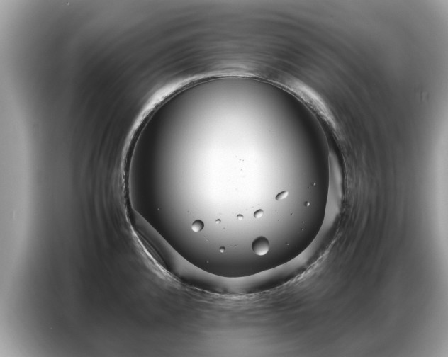 X0000087361192200704271432