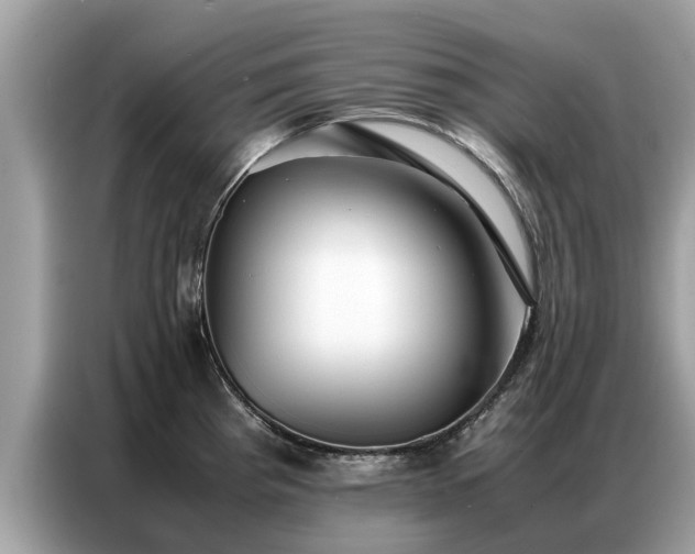 X0000087361193200704271431