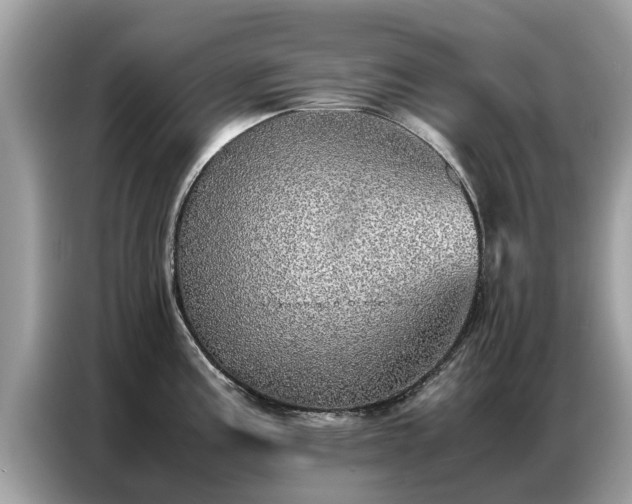 X0000087361195200704271431