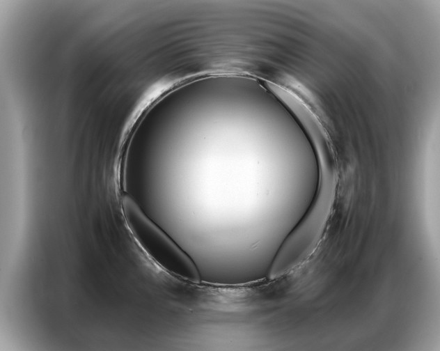 X0000087361196200704271431