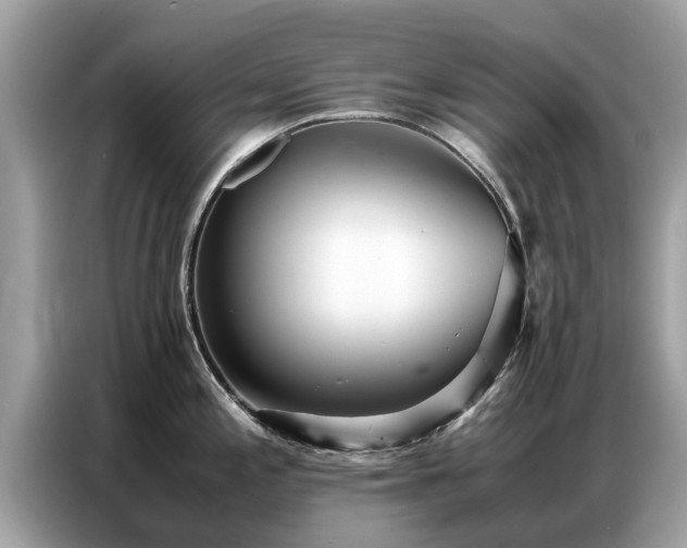 X0000087361197200704271431