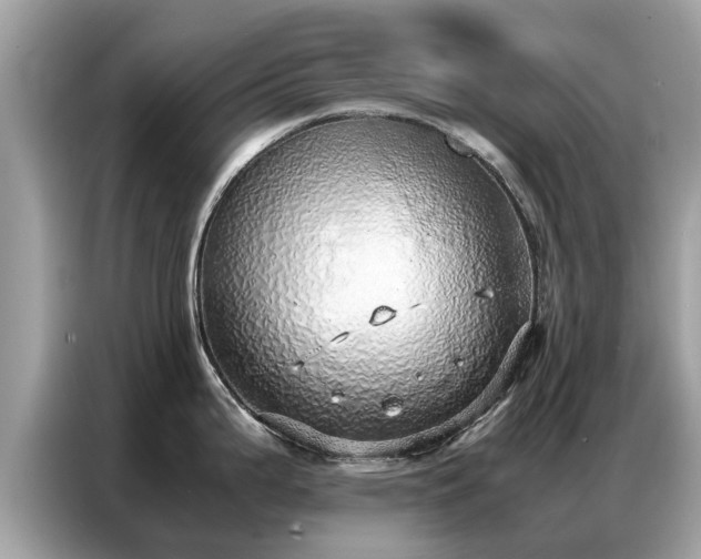 X0000087361199200704271431
