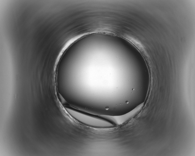 X0000087361200200704271431