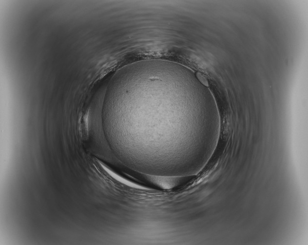 X0000087361202200704271431