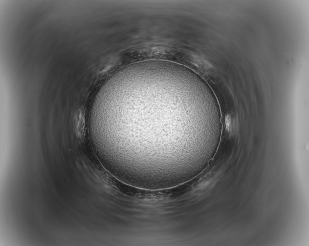 X0000087361203200704271431