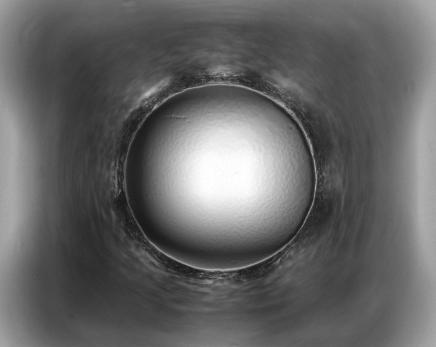 X0000087361205200704271431