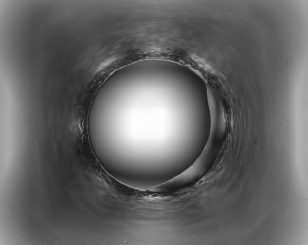 X0000087361206200704271431
