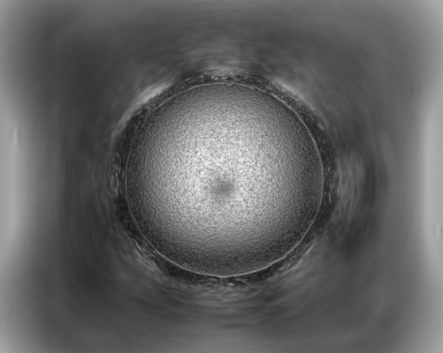 X0000087361207200704271431