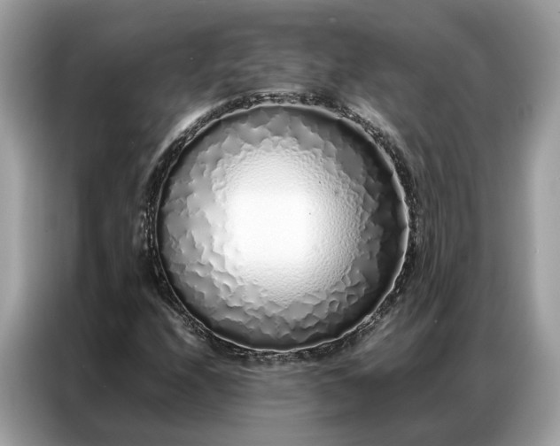 X0000087361208200704271431