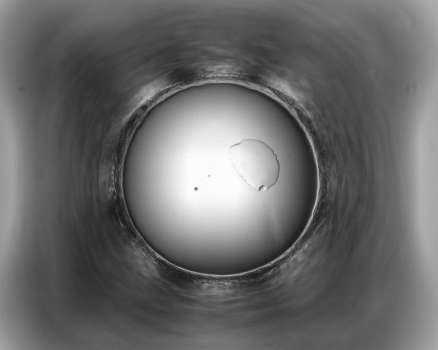 X0000087361211200704271431