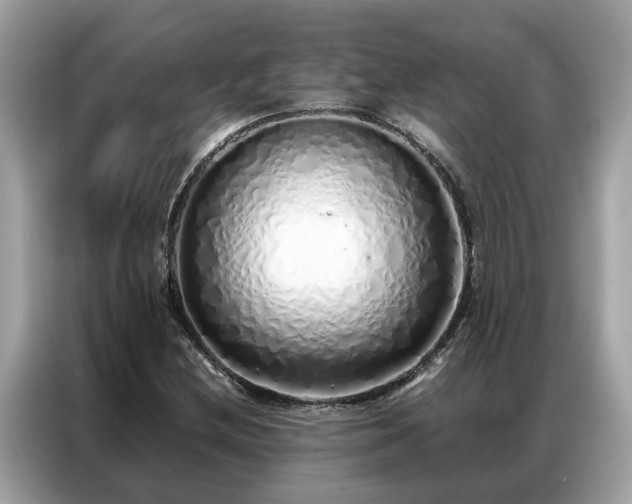 X0000087361212200704271431
