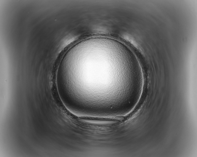 X0000087361213200704271431