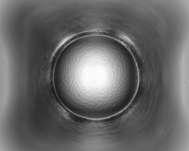 X0000087361216200704271431