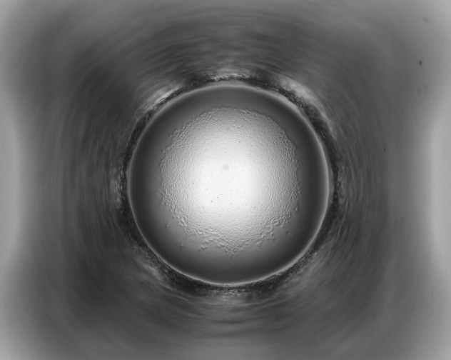 X0000087361217200704271431