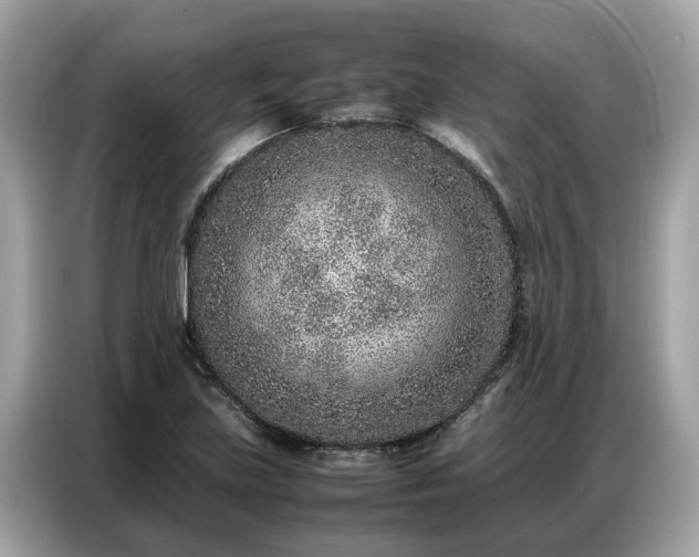 X0000087361219200704271431