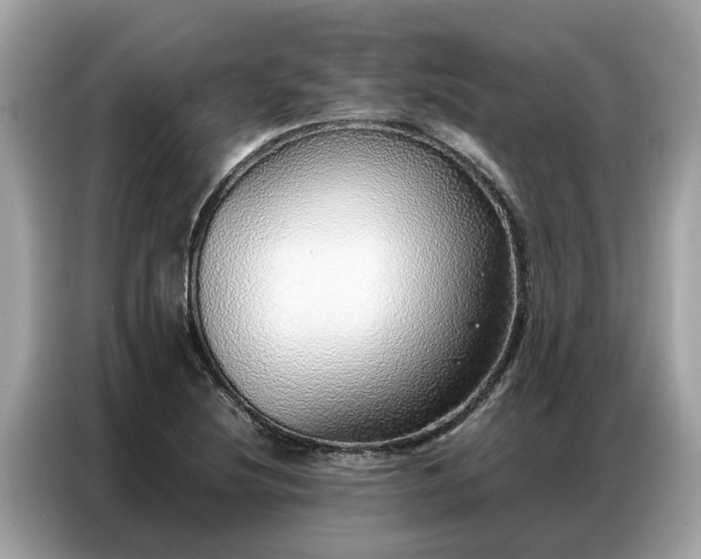 X0000087361220200704271431