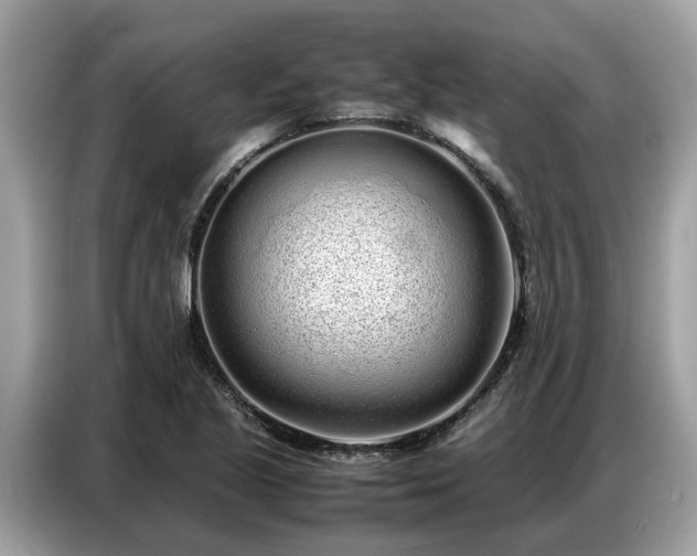 X0000087361221200704271431
