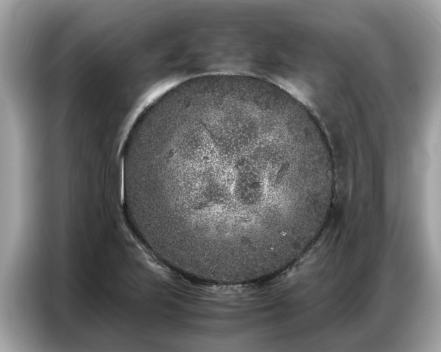 X0000087361223200704271431