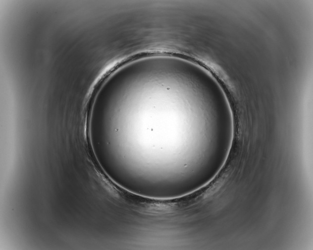 X0000087361224200704271431