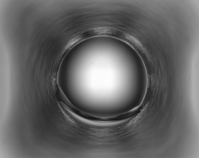 X0000087361225200704271431