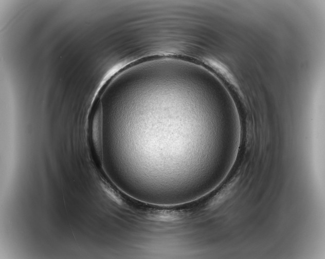X0000087361226200704271431