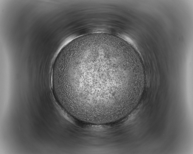X0000087361227200704271431