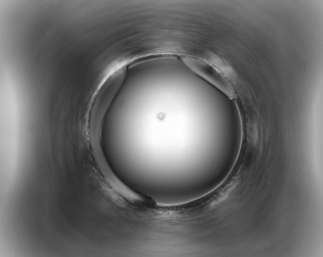 X0000087361230200704271431