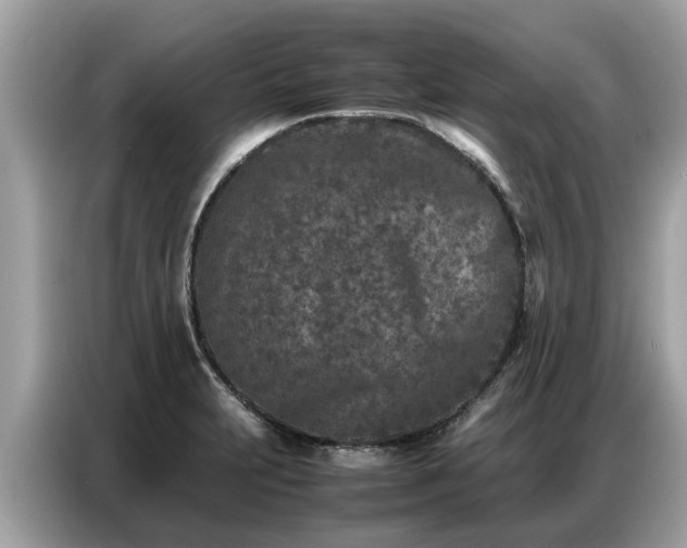 X0000087361231200704271431