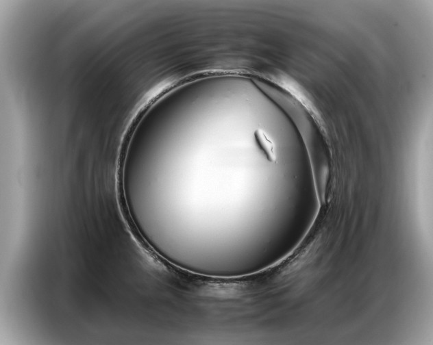X0000087361237200704271431