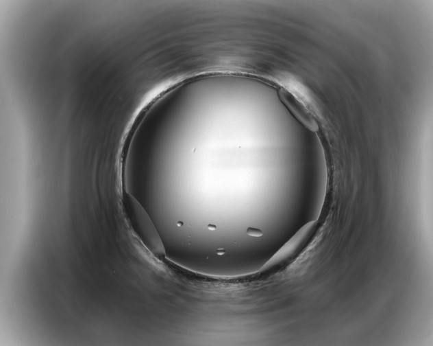 X0000087361238200704271431