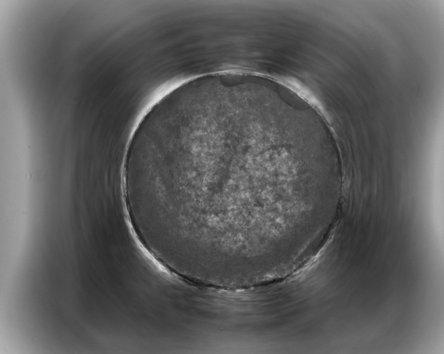 X0000087361239200704271431